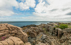 Ferieleilighet - Sandvig , Danmark - I56325 13