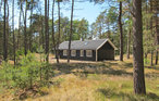 Feriehus - Dueodde , Danmark - I62823 12