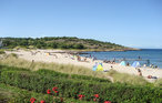 Feriehus - Sandvig , Danmark - I68493 18