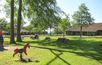 Ferieleilighet - Sandvig , Danmark - I68301 14