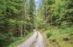 Ferienwohnung - Lauco - Dolomiti Friulane , Italien - IDD306 17
