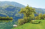 Ferienwohnung - Lauco - Dolomiti Friulane , Italien - IDD306 16