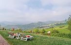 Ferieleilighet - Salsomaggiore Terme , Italia - IEC103 10