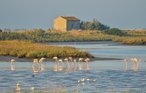 Ferieleilighet - Lido degli Scacchi , Italia - IEK156 13