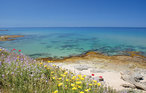Ferieleilighet - Stintino , Italia - IGG166 15