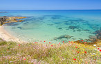 Feriehus - Porto Rotondo , Italia - IGG254 25