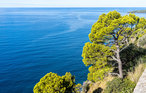 Ferieleilighet - Acciaroli , Italia - IKC542 16
