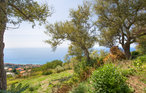 Cetraro