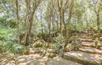 Feriehus - Forio - Ischia , Italia - IKS195 18