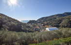 Ferienwohnung - Moneglia , Italien - ILL808 14