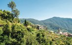 Ferienwohnung - Levanto - Cinque Terre , Italien - ILL375 10