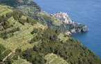 Ferienhaus - Cinque Terre , Italien - ILL295 46