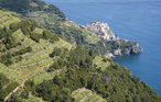 Feriehuse - Bruscarolo - Cinque Terre , Italien - ILL523 31