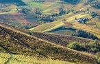 Ferienhaus - Barolo - Langhe , Italien - IPL128 26