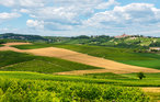Feriehus - Montegrosso Cinaglio , Italia - IPL270 8