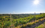 Feriehus - Montegrosso Cinaglio , Italia - IPL270 24