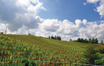 Feriehus - Cuneo , Italia - IPL160 33
