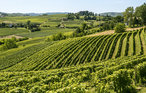 Feriehus - Montegrosso Cinaglio , Italia - IPL270 22
