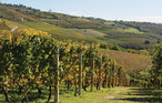 Feriehus - Cuneo , Italia - IPL160 34