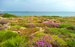 Ferienhaus - Salento/Torre Vado , Italien - ISA530 26