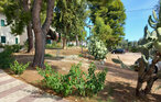 
Holiday rental - Vieste , Italy - ISA031 15
