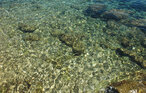 Ferienhaus - Siracusa , Italien - ISC345 48