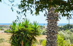 Location de vacances - Marzamemi , Italie - ISC575 5