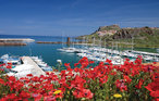 Ferieleilighet - Castelsardo , Italia - ISD240 14
