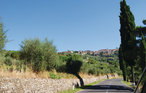 Feriehus - Monte San Savino , Italia - ITA684 14