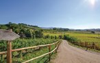 Ferienwohnung - Loro Ciuffenna , Italien - ITA793 19