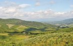 Semesterlägenhet - Greve in Chianti , Italien - ITC142 20