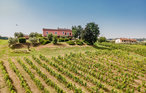Ferienwohnung - Lazzeretto , Italien - ITF063 35