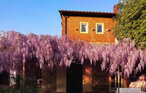 Feriehuse - Firenze , Italien - ITF210 15