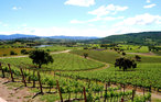 Ferienwohnung - Montenero d'Orcia , Italien - ITG001 5