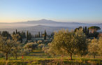 Ferienwohnung - Montenero d'Orcia , Italien - ITG001 20