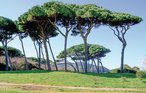Feriehus - Sassetta , Italia - ITK258 37