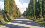 Feriehus - Sassetta , Italia - ITK258 38