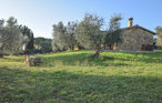 Ferienhaus - Magliano/ Toscana , Italien - ITM335 13
