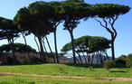 Ferieleilighet - Follonica , Italia - ITM456 19