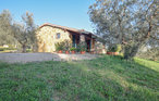 Ferienhaus - Magliano/ Toscana , Italien - ITM335 1