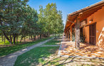 Ferienwohnung - Grosseto , Italien - ITM476 7