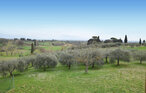 Feriehus - Marciano della Chiana , Italia - ITR073 23