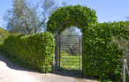 Ferienwohnung - Monterchi , Italien - ITR080 8