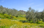 Ferienhaus - Monterchi , Italien - ITR078 21
