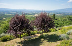Ferienwohnung - Pergine Valdarno , Italien - ITR121 7