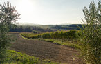 Ferienhaus - Chiusi , Italien - ITS060 34