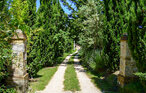 Ferienwohnung - Radicondoli , Italien - ITS249 13