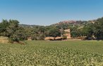 Feriehuse - Calvi dell´Umbria , Italien - IUP356 27