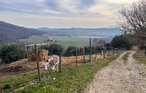 Feriehuse - Perugia , Italien - IUP004 26