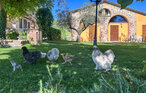 Feriehuse - San Feliciano , Italien - IUT257 28